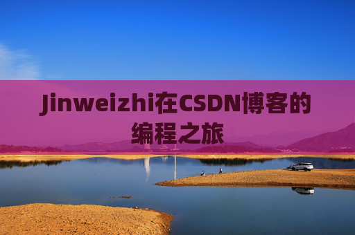 Jinweizhi在CSDN博客的编程之旅